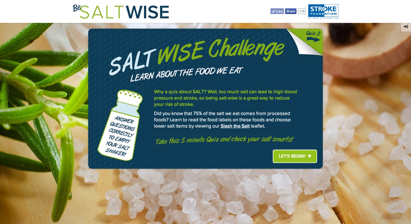 Salt Wise Home Screen